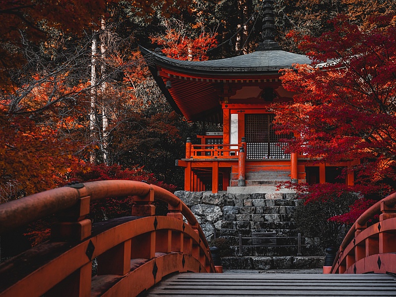 biaya kursus bahasa Jepang di BSD City