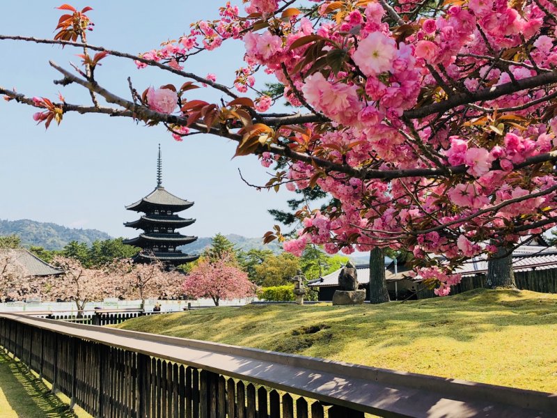 biaya kursus bahasa Jepang di Mampang