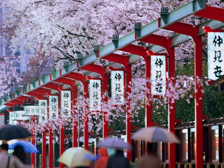 Kursus Bahasa Jepang Gading Serpong